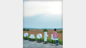 갈대밭서 인생사진 두근두근, 미륵사지 돌아보며 도란도란… 영정통엔 문화공간 아기자기