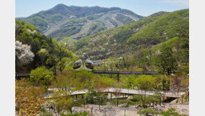 오로지 쉬고 싶다…국내 자연 속 힐링 여행지 4곳