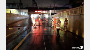이언주 “부산 폭우 피해는 인재…시와 구청이 책임져야”