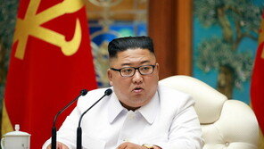 北 “코로나19 감염 의심 월남도주자, 3년 만에 개성 귀향”