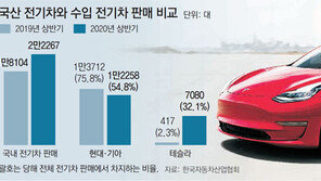 전기차 보조금 줬더니… 테슬라만 16배 폭풍성장