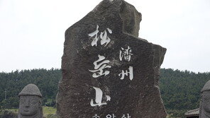 “제주 송악산 정상 송이층 훼손 심각”…휴식년 1년 연장