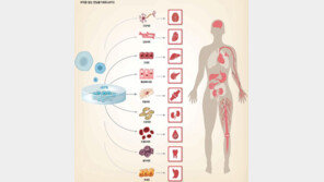 부작용 없는 ‘역분화줄기세포’, 난치성 질환 극복의 희망