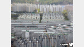 주택공급 확대방안 발표 앞두고 ‘용적률 딜레마’ 빠진 정부