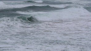 함께 술먹던 친구 물에 빠지자 구하려다 숨진 50대…法 “의사자 인정”