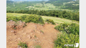 관광객 몰려 황폐화 제주 백약이오름 정상 2년간 못 오른다