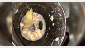 “맛있게 먹었는데…” 中식당 음식서 박쥐 사체 나와 ‘끔찍’