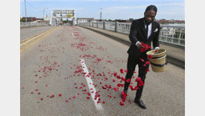흑인 운동의 대부가 가는 마지막 길 왜 장미 꽃잎이 뿌려졌을까…[청계천 옆 사진관]