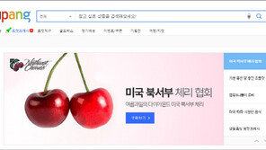 美 워싱턴체리, 쿠팡에서 7월 30일까지 특별가 판매 