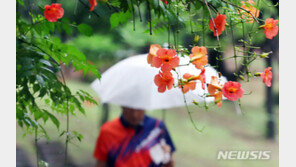 [날씨]28일도 전국 곳곳 장맛비→모레까지…서울 낮 29도