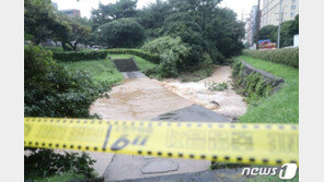 제주 하천 실종 남성은 중학생…자력 탈출 병원서 치료 추정