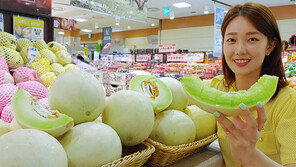 롯데마트 “달콤한 맛의 끝판왕, 허니듀 멜론”