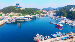 삼척케이블카 멈춰…승객 21.5ｍ 바다 위 상공서 ‘공포’