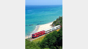코로나19로 멈춘 바다열차, 8월부터 다시 달린다