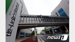 임신 전 음주도 위험…기형·거대아 출산율 높여