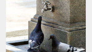 한반도 100년간 기온 1.8도 상승…현상 유지시 감염병 증가