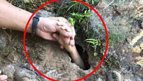 땅 속에서 아이 손이 불쑥…7세 소년 어쩌다 거기에? (영상)