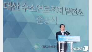 정총리 “대산 수소연료전지 발전소, 버려진 부생수소 활용 큰 걸음”