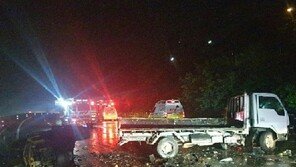 박지윤 車와 충돌한 트럭에 ‘치타’도 당할 뻔 “겨우 피해”