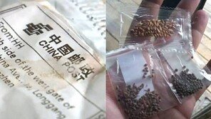 中서 보낸 정체불명 씨앗…美 정부 “절대 심지 말라”