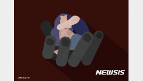 여경들 사진·연락처 인터넷 유포한 경찰간부…법정구속