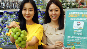 “농산물 20% 할인판매”