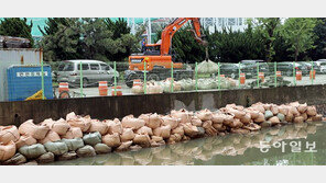 “하천 범람 막아라” 모래주머니 제방