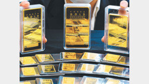 “현금보다 금” 골드러시… 한돈에 30만원