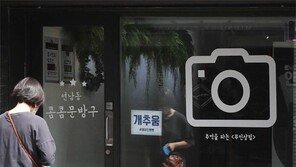 개는 추울까?[고양이 눈]