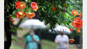 [날씨]아침까지 충청·경북, 밤새 많은 비…제주엔 열대야