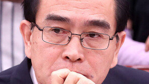 태영호 “귀신 잡는 해병도 월북자 못 잡아…이건 좀 심하다”