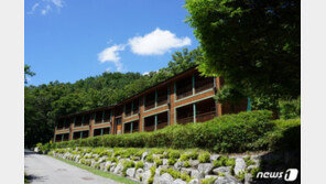 언택트 시대엔 ‘숲캉스’…6개 국립자연휴양림 사용료 할인