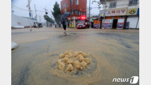 20일새 3차례 물난리…“비올때마다 잠기니 감전될까 무서워“