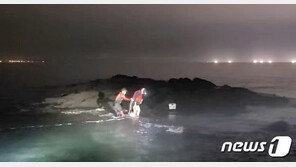 월척 꿈꾸던 갯바위의 비극…제주서 숨진 낚시객 3년 반동안 14명