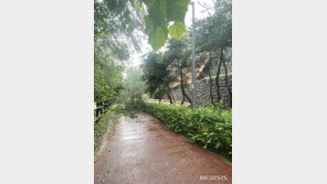 200㎜ 물폭탄 광주서 중학교 담장 붕괴 산책로 덮쳐