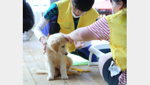 둥글개봉사단, 반려견 매개로 발달장애학생 치유
