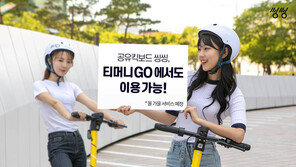 공유 킥보드 씽씽, 티머니GO 탑재