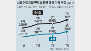 서울 소형아파트 평균가격 4억 넘어서