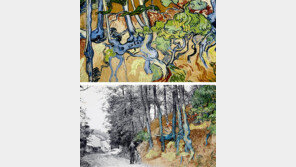 고흐가 마지막 작품 그린 장소 130년만에 찾았다