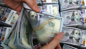 [속보]“600억 달러 규모 한미 통화스와프 계약 6개월 연장 합의”