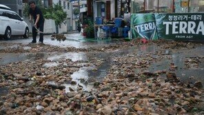 세종·대전 등 6개 시도에 ‘호우경보’…중대본 비상 2단계로 격상