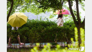 제주 동부 호우특보 발효…동·서·북부지역엔 사흘째 폭염특보