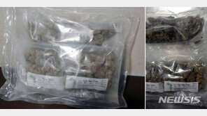 인천공항 화장실서 ‘대마초 뭉텅이’ 발견…경찰 수사중