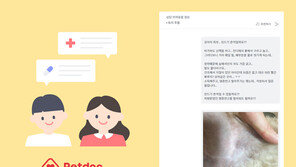 펫닥 “장마철 반려동물 건강관리법 알려드려요”