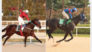 8월 2일 코리안더비…롤러블레이드 vs 세이브더월드 ‘최강 3세마’ 가린다