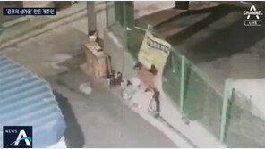 인천 대청도서 대형견 ‘차우차우’ 3마리로 섬 들끓어…무슨 일?