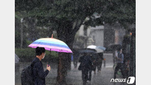 [날씨]주말부터 장마 다시 시작…“중부 10일까지 비, 남부 찜통더위”