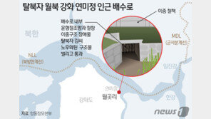‘강화도 월북’ 軍 대비태세 문제없었나…31일 조사결과 발표
