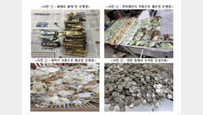 “코로나 있을까봐 세탁기에 돌렸다” 상반기 손상화폐 11년만에 최대