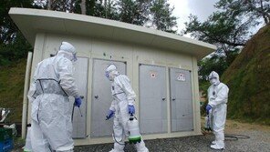 코로나19 신규 확진자 36명… 수도권 소규모 감염 확산